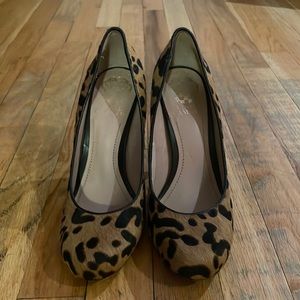 Calf hair Spotted Chic Heels for the Buying!